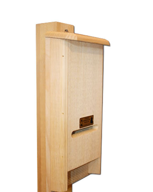 Wooden BATchelor Pad