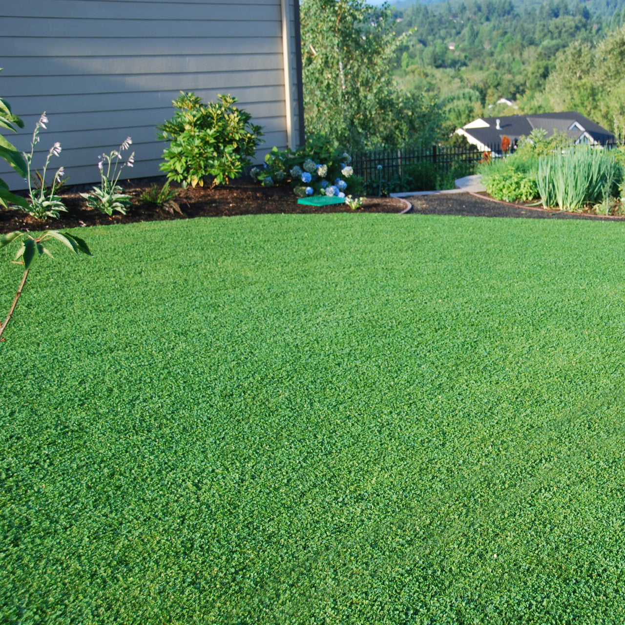 MicroLawn Low & Slow Grass Seed - 5 lbs