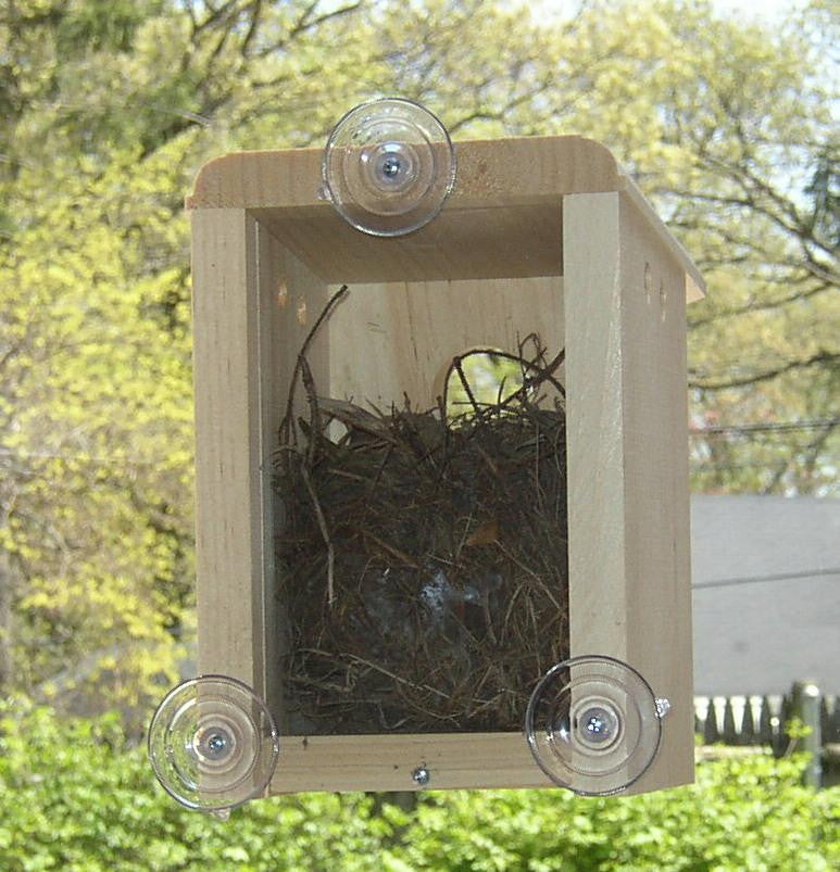 Window Nest Box