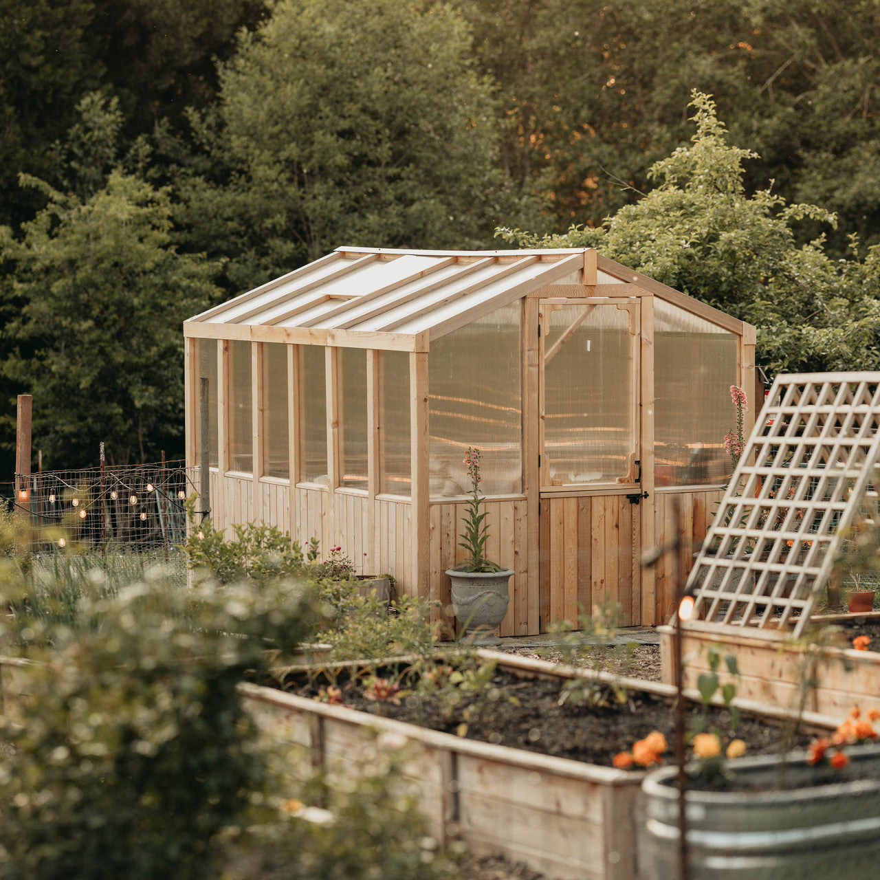 8' x 12' Cedar Greenhouse
