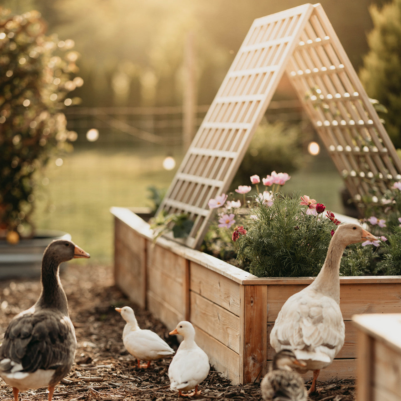 Natural Cedar Raised Garden Beds