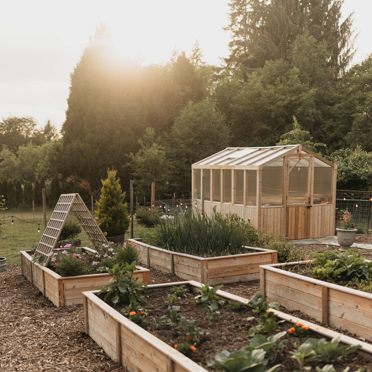 Natural Cedar Raised Garden Beds