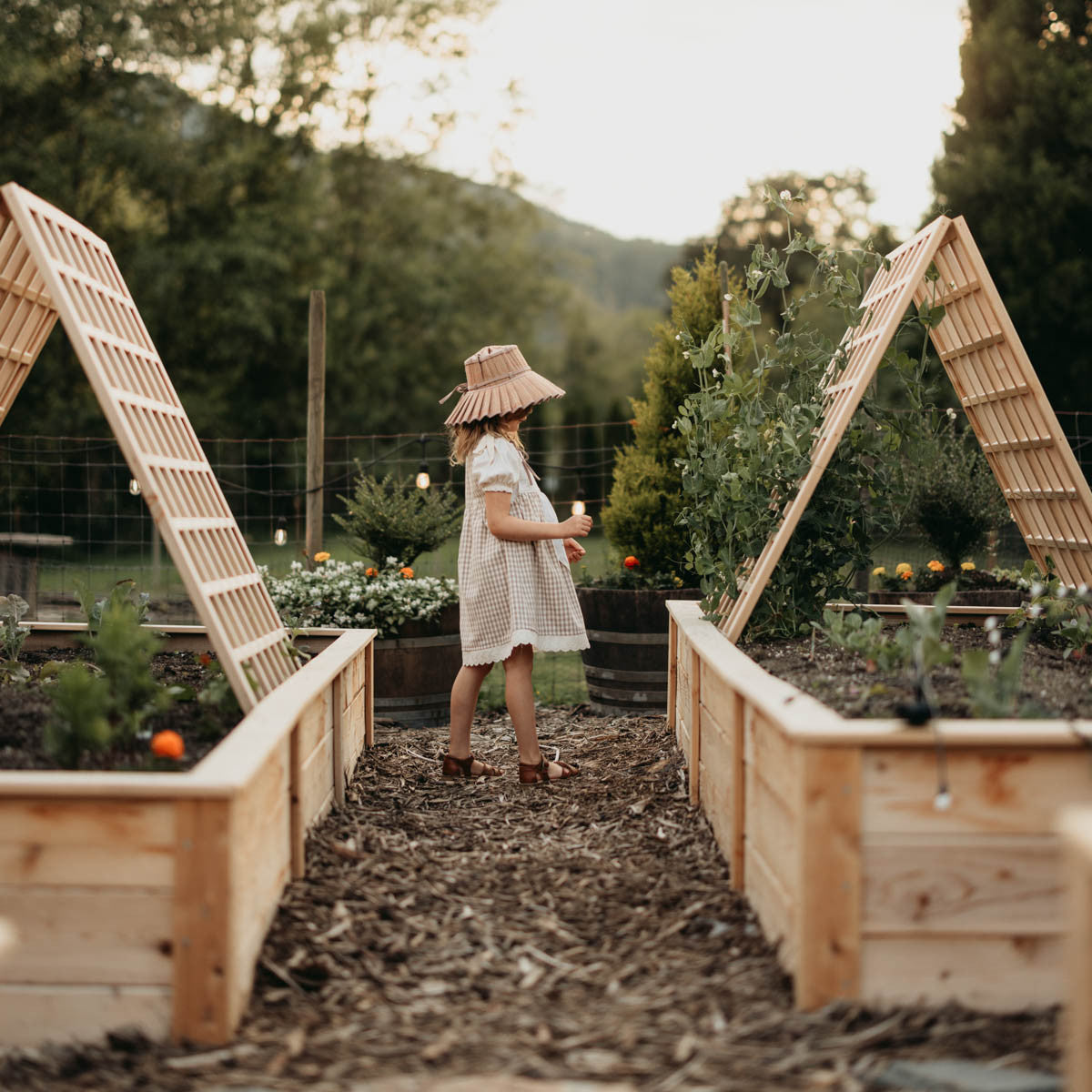 Natural Cedar A-Frame Trellises