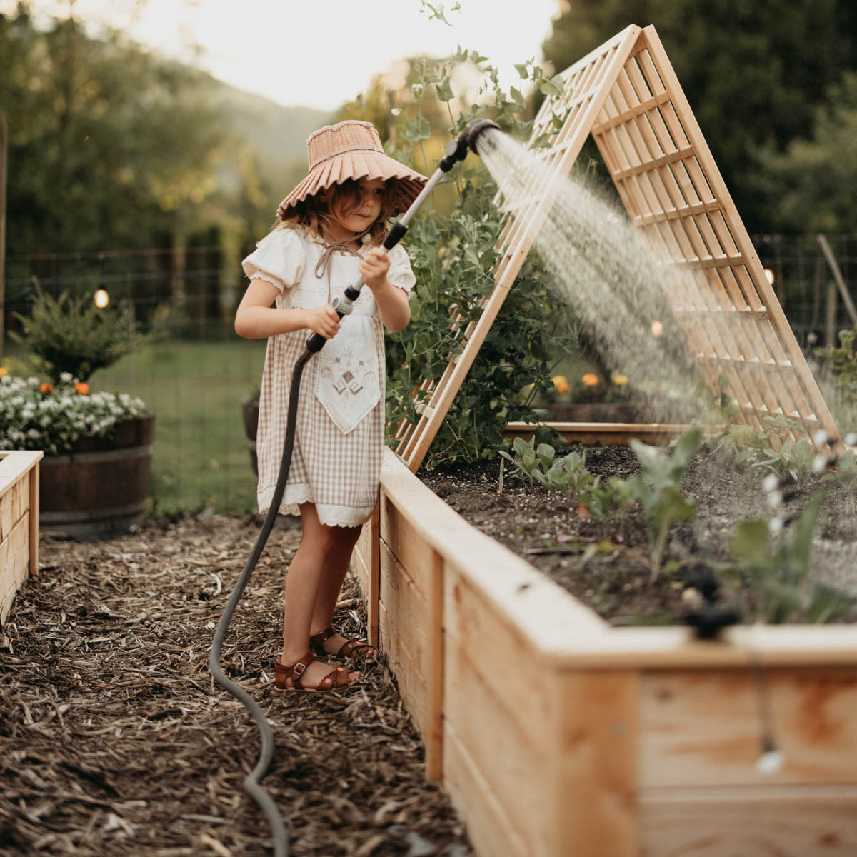 Natural Cedar A-Frame Trellises