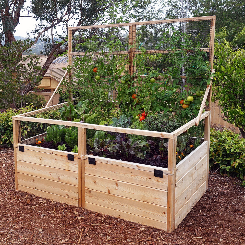3' x 6' Raised Garden Bed With Hinged Fencing and Trellis