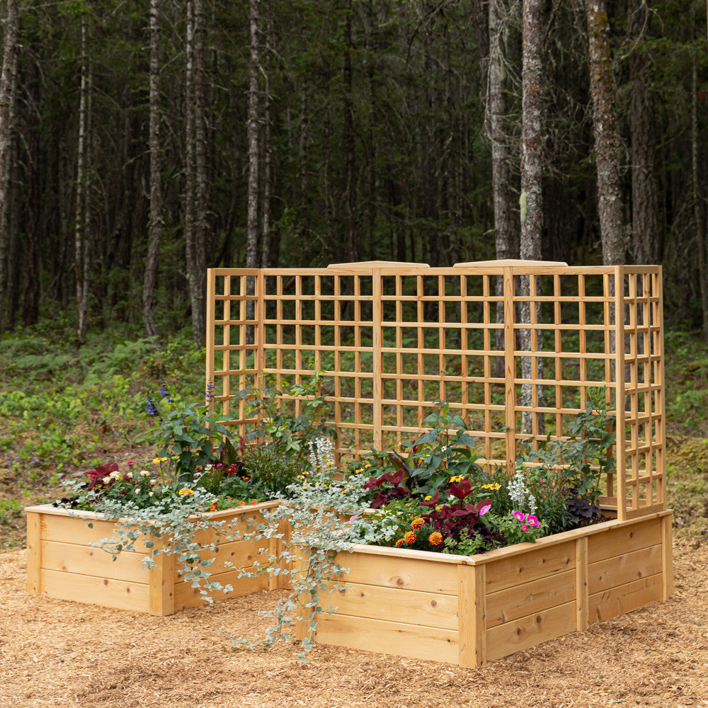 Natural Cedar 12' U-Shaped Raised Beds with Trellis