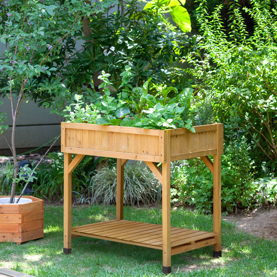 VegTrug Herb Planter - Natural Wood
