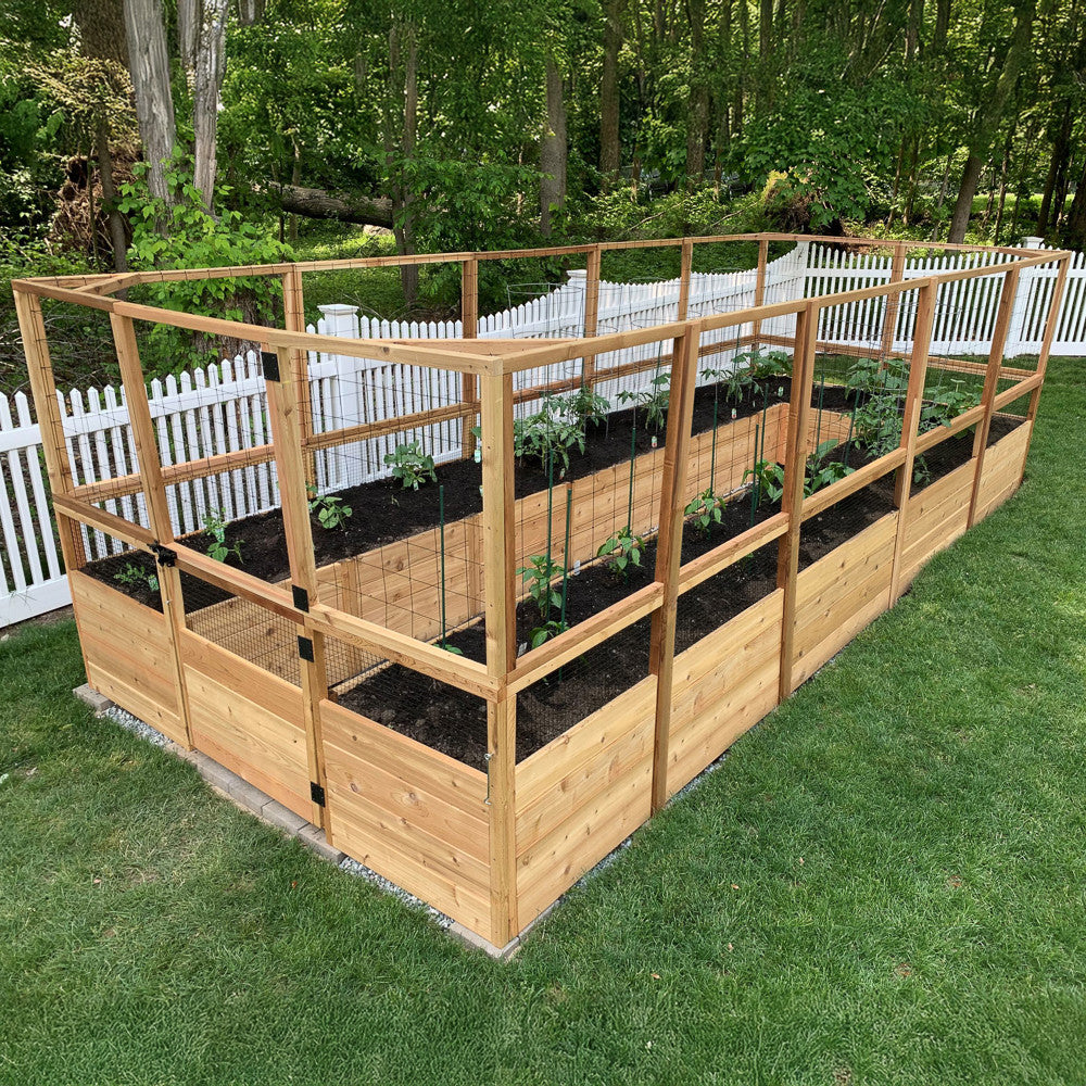 Deer Proof Cedar Complete Raised Garden Bed Kit - 8' x 16'