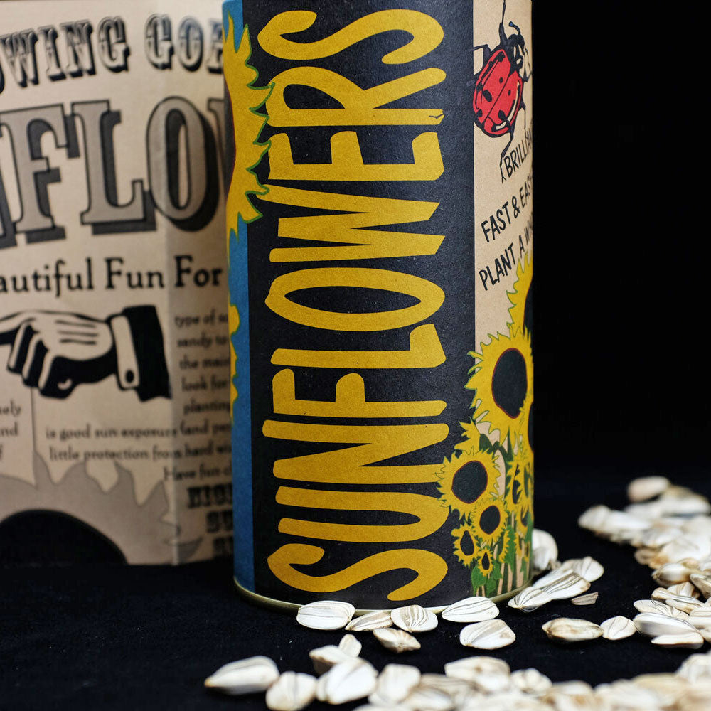 Sunflower Seed Grow Kit