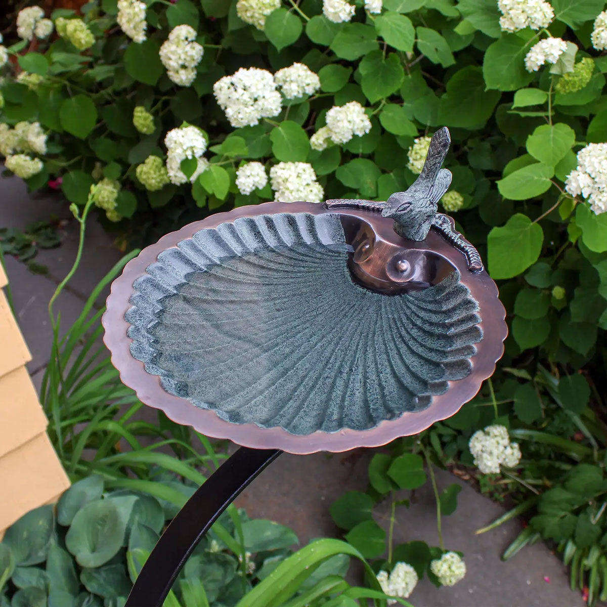 Scalloped Shell Bird Bath with Wall Bracket