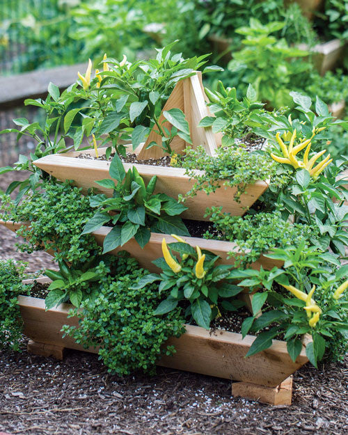 3 Level Plant Pyramid