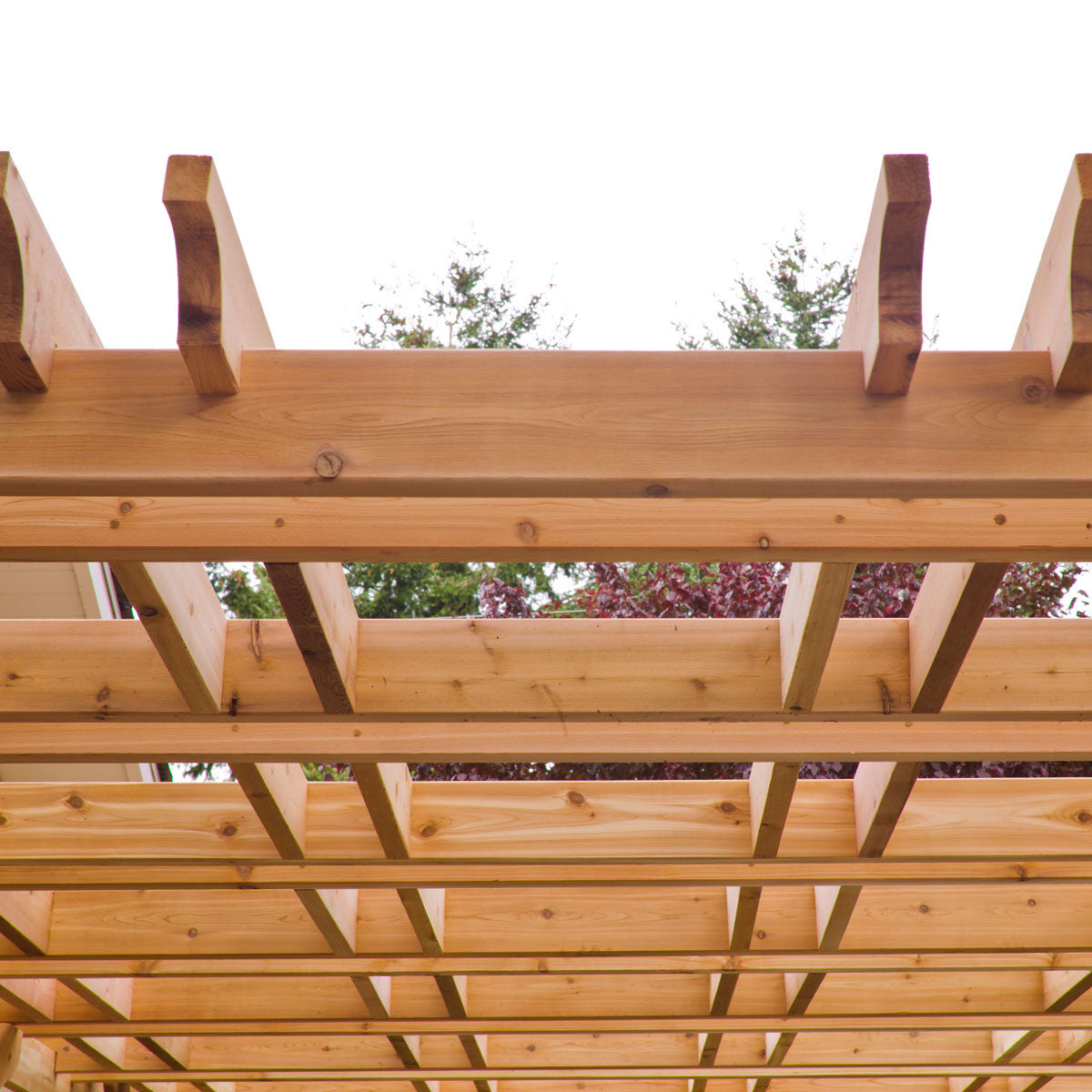 8' x 10' Premium Cedar Pergola Kit