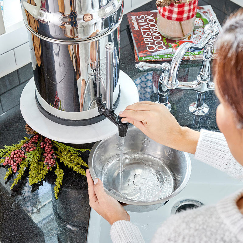 Big Berkey Water Filtering System