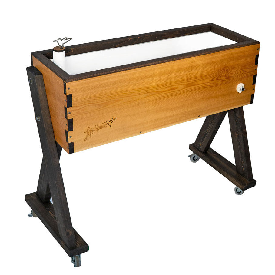 Modern Clear (black trim)