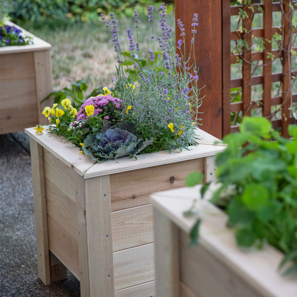 Natural Cedar Planter Boxes