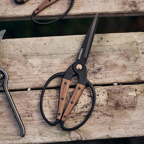 Large Walnut Garden Scissors