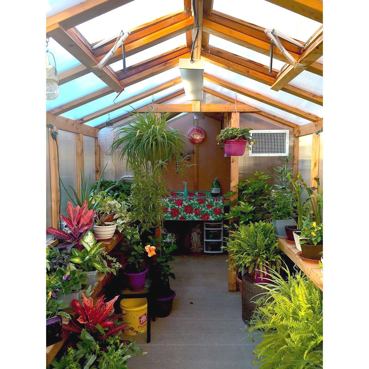 8' x 8' Cedar Greenhouse