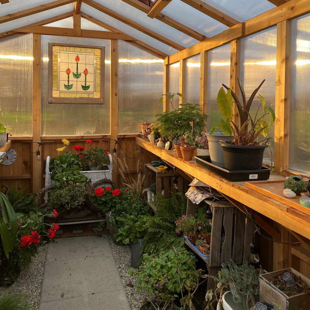 8' x 8' Cedar Greenhouse