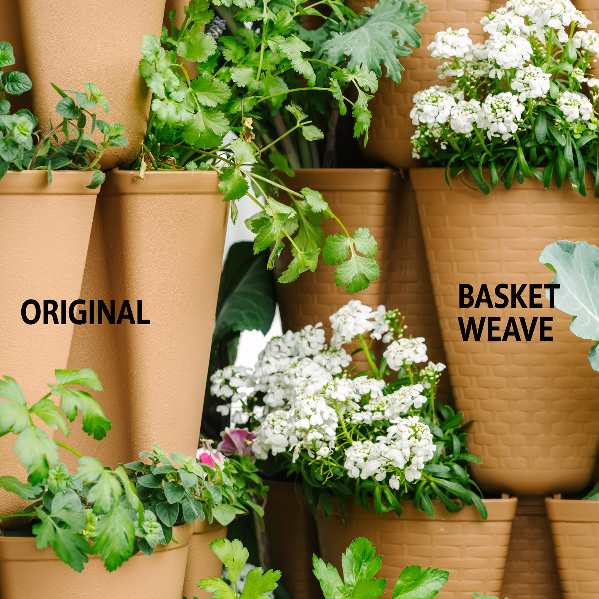 Greenstalk Planter vs. Basket Weave Planter