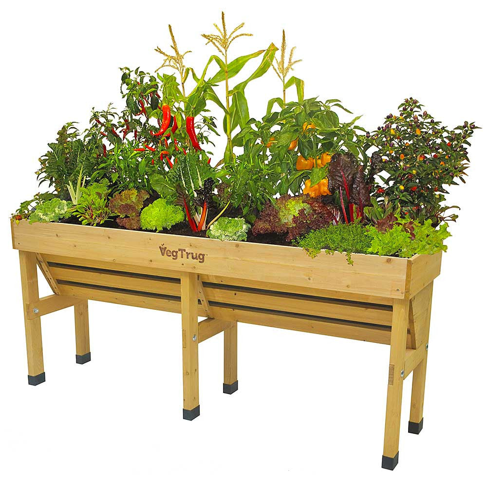 VegTrug Wallhugger Raised Garden Planter - Natural Wood
