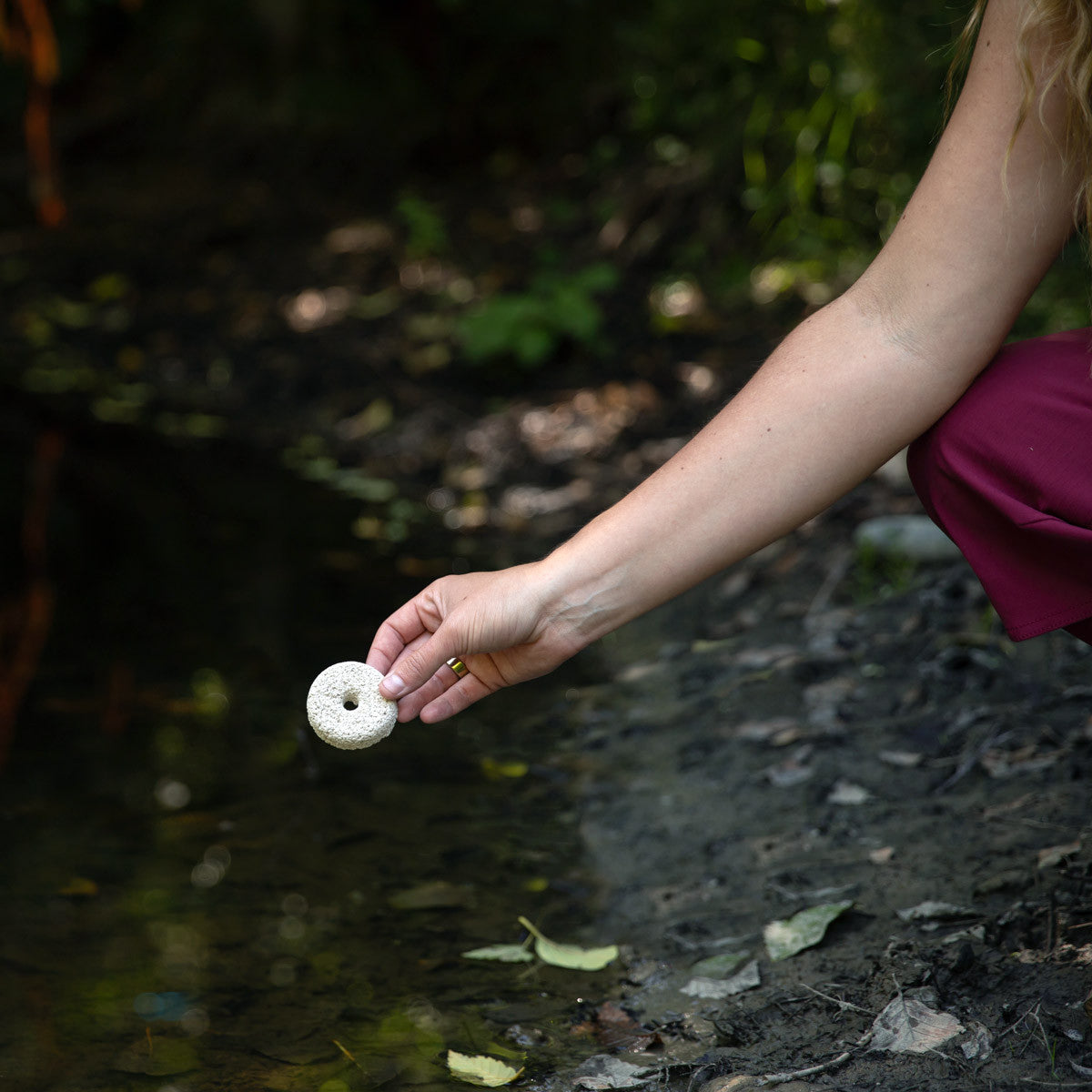Mosquito Dunks - 6 Pack