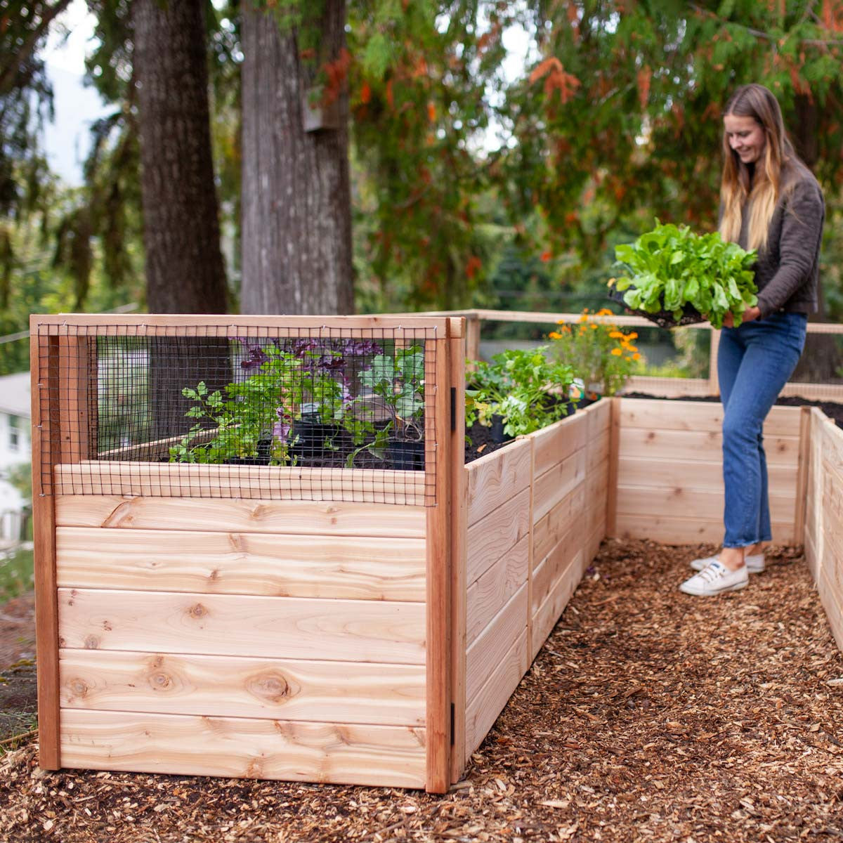 Cedar Complete Raised Garden Bed Kit - 8' x 12'