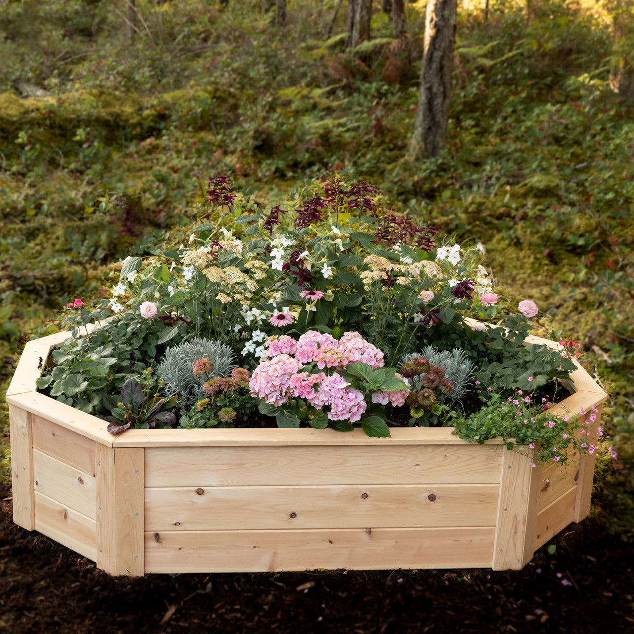 Natural Cedar Octagon Raised Beds