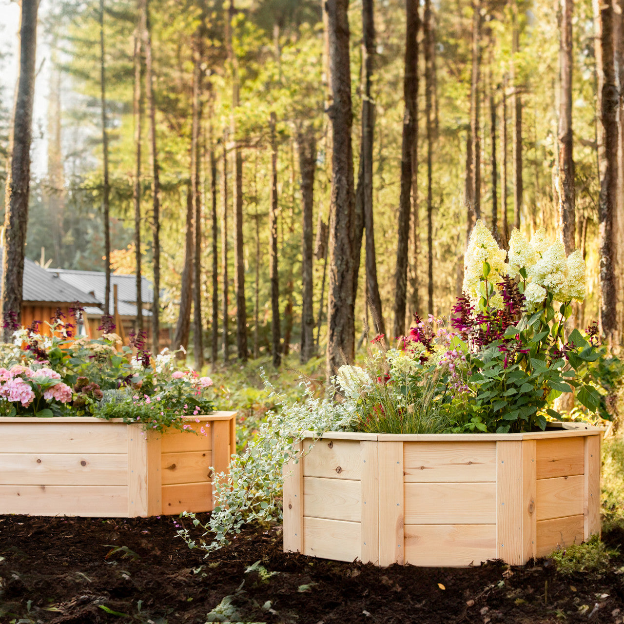 Natural Cedar Octagon Raised Beds