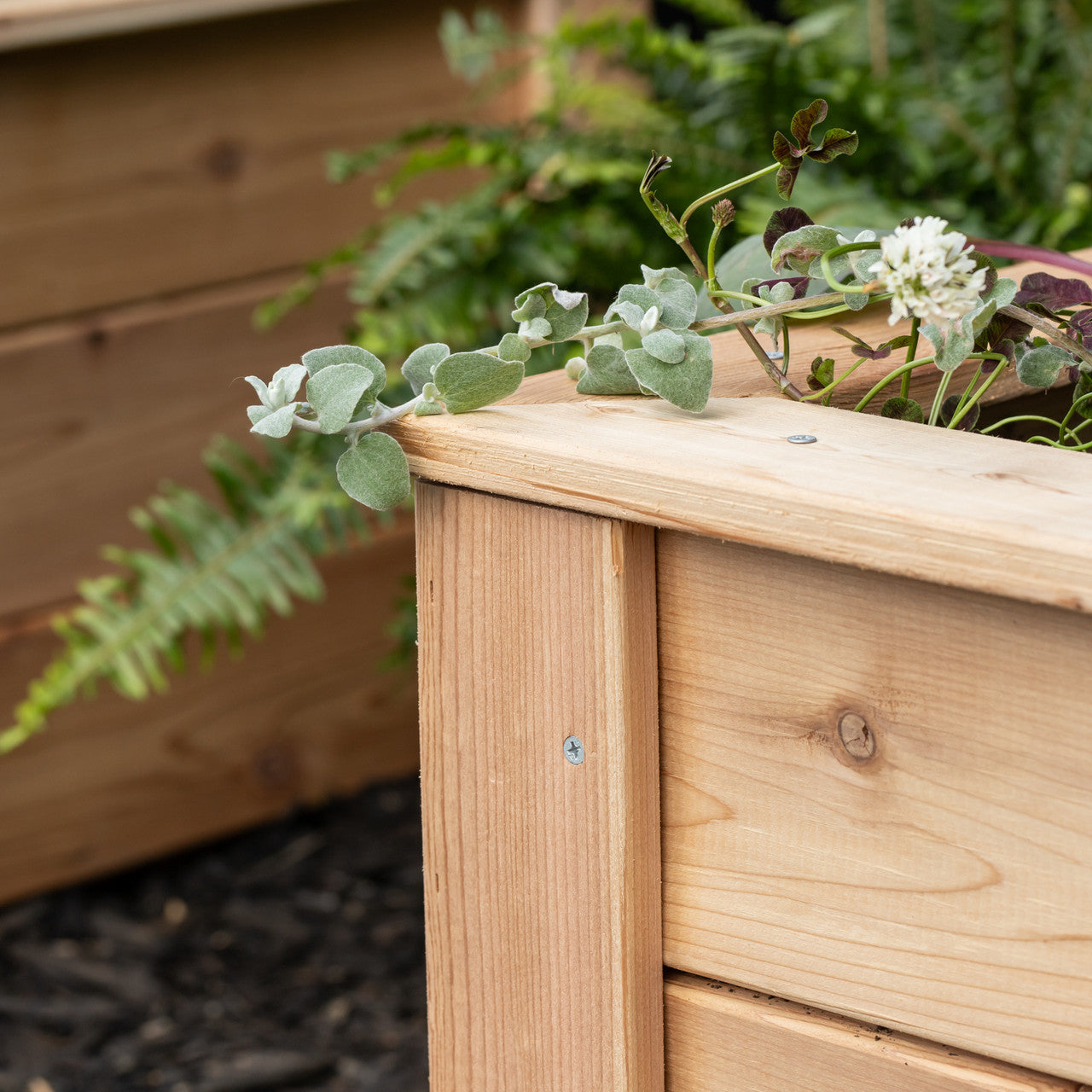 Natural Cedar L-Shaped Raised Garden Beds