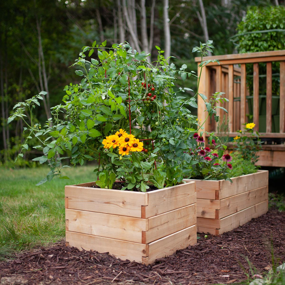 Classic Natural Cedar Raised Garden Beds