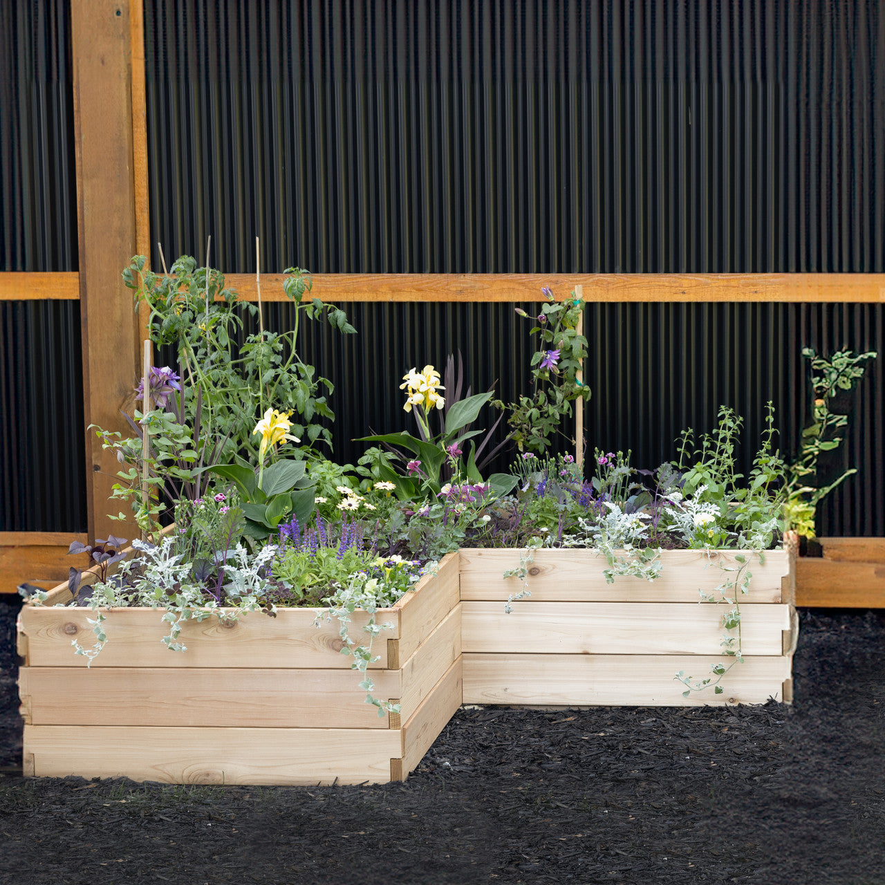 Classic Natural Cedar L-Shaped Raised Garden Beds