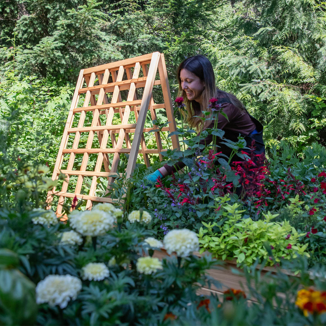 Natural Cedar A-Frame Trellises