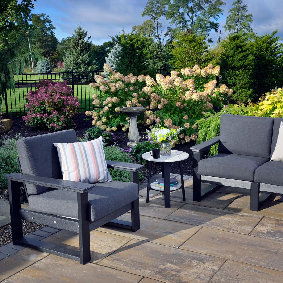 Black Frame & Spectrum Carbon Cushion