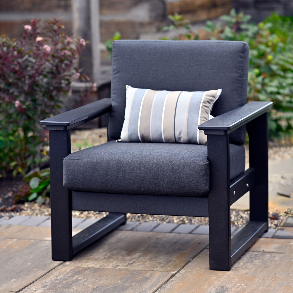 Black Frame & Spectrum Carbon Cushion