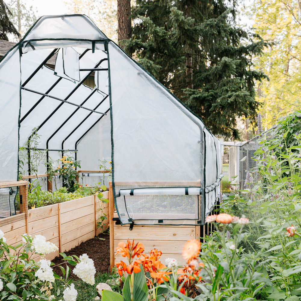 Cedar Complete Raised Garden Bed Kit with Greenhouse Cover 8' x 12'