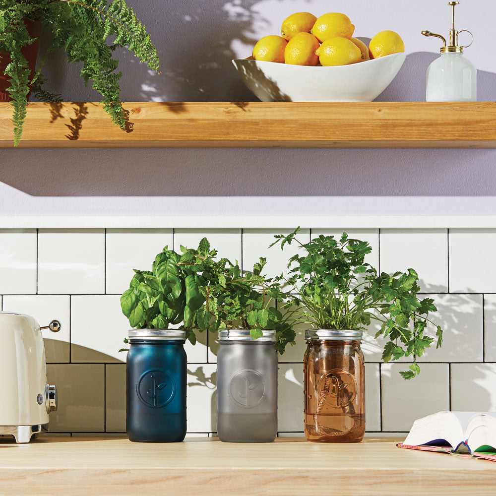 Garden Jar Collection 