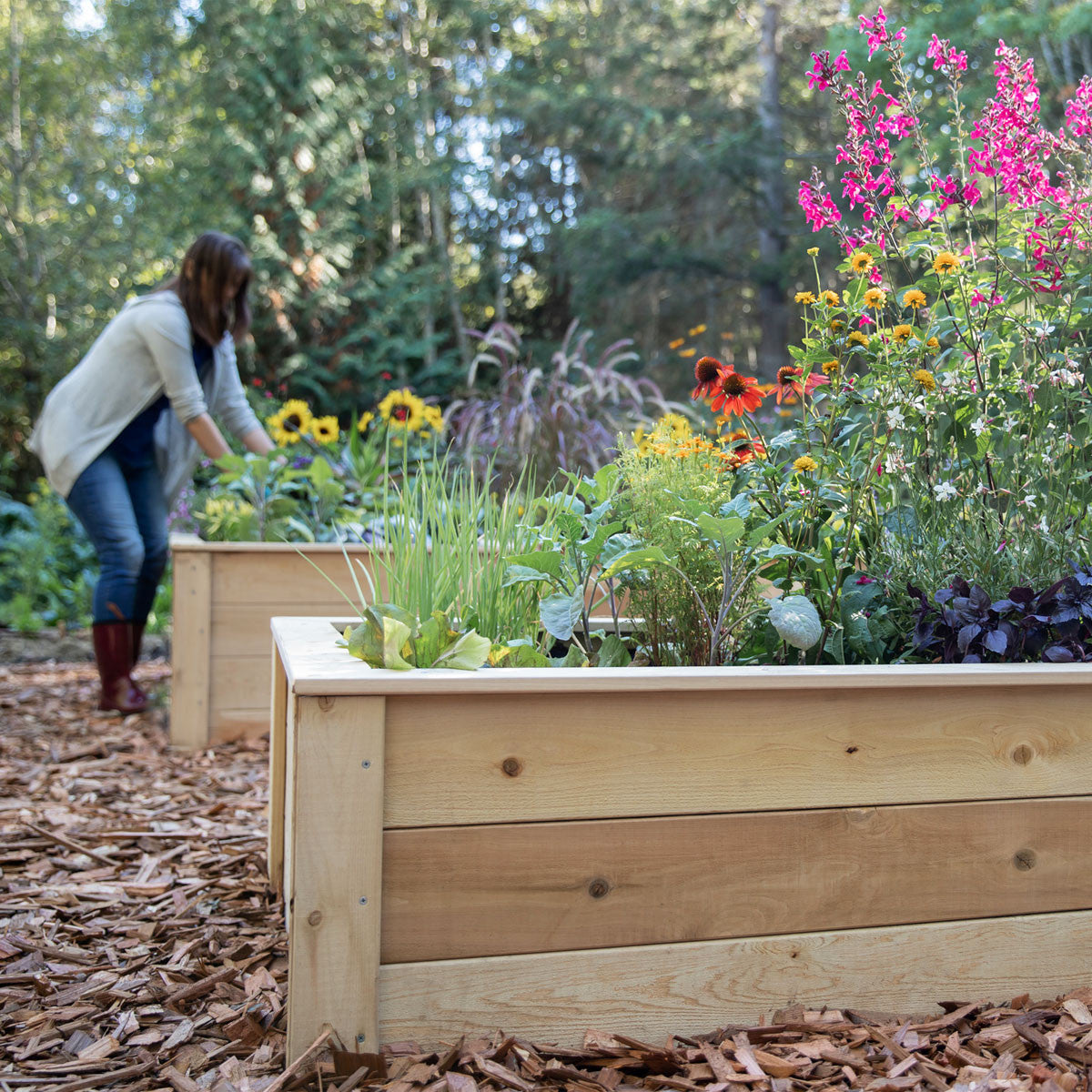 Natural Cedar L-Shaped Raised Garden Beds