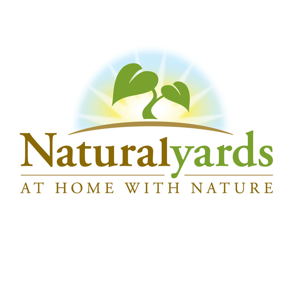 Natural Cedar Elevated Garden Planter