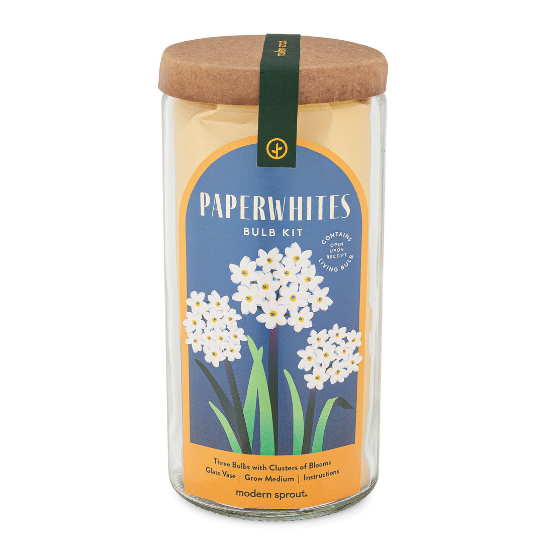 Paperwhites Winter Bulb Kit
