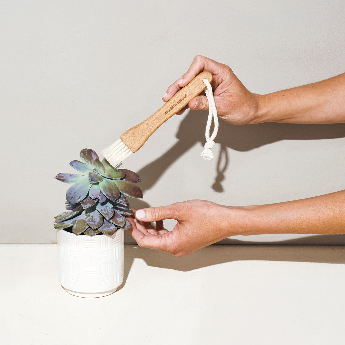 Plant Parent Botanical Gift Set