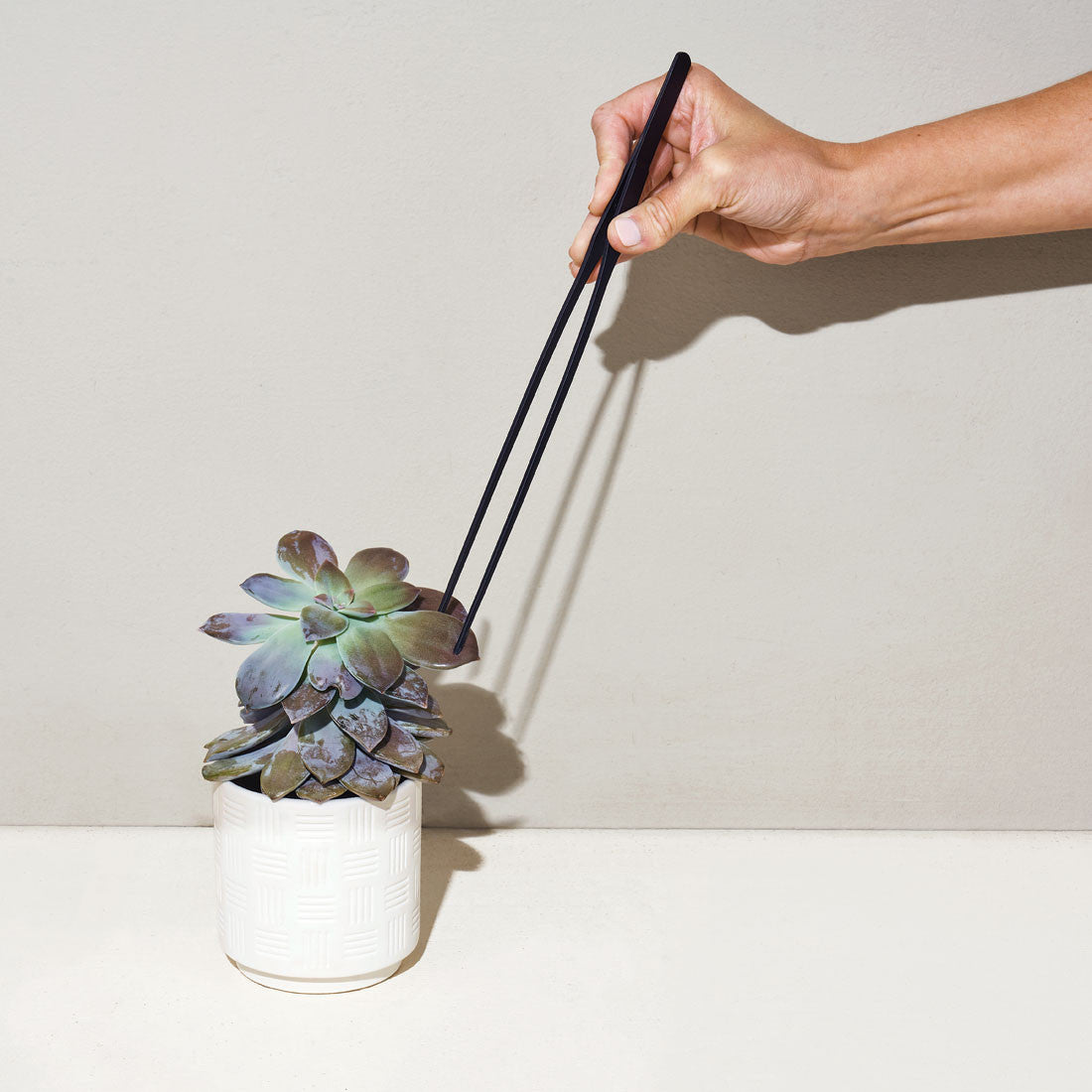 Plant Parent Botanical Gift Set