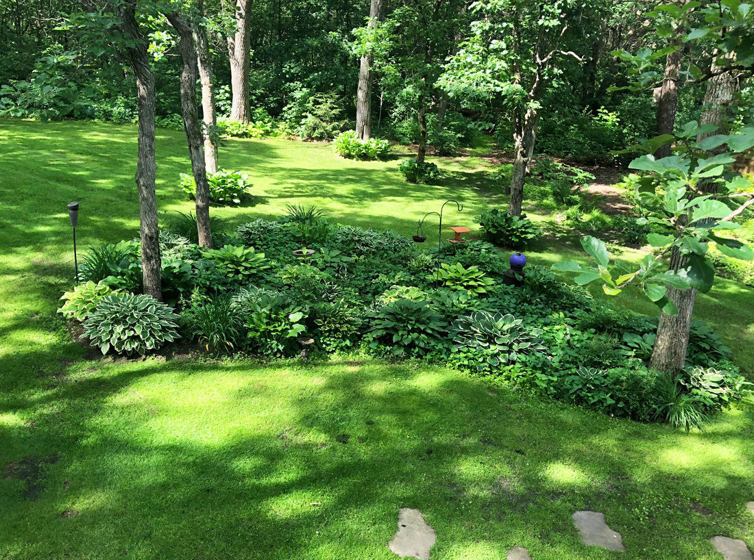 MicroLawn Grass Seed & Microclover Blend - 5 lbs