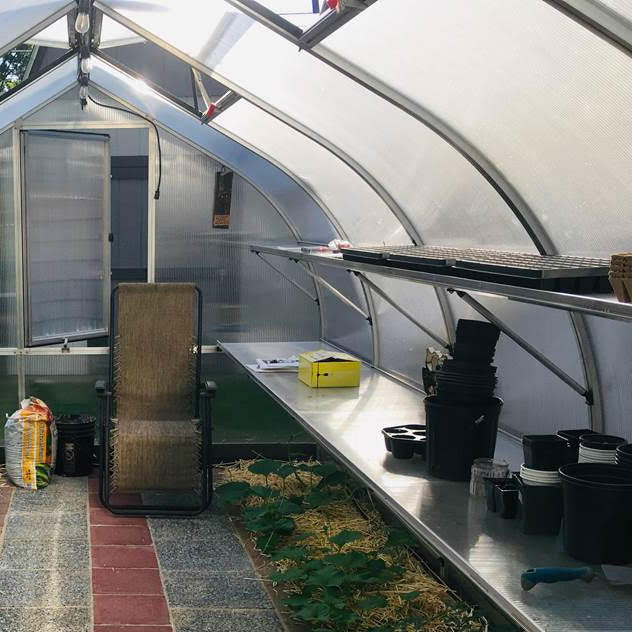 Top and Bottom Shelves