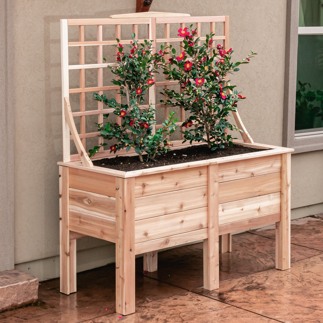 Natural Cedar Elevated Planter with Trellis