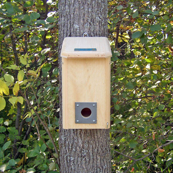 Small Wooden Winter Roost