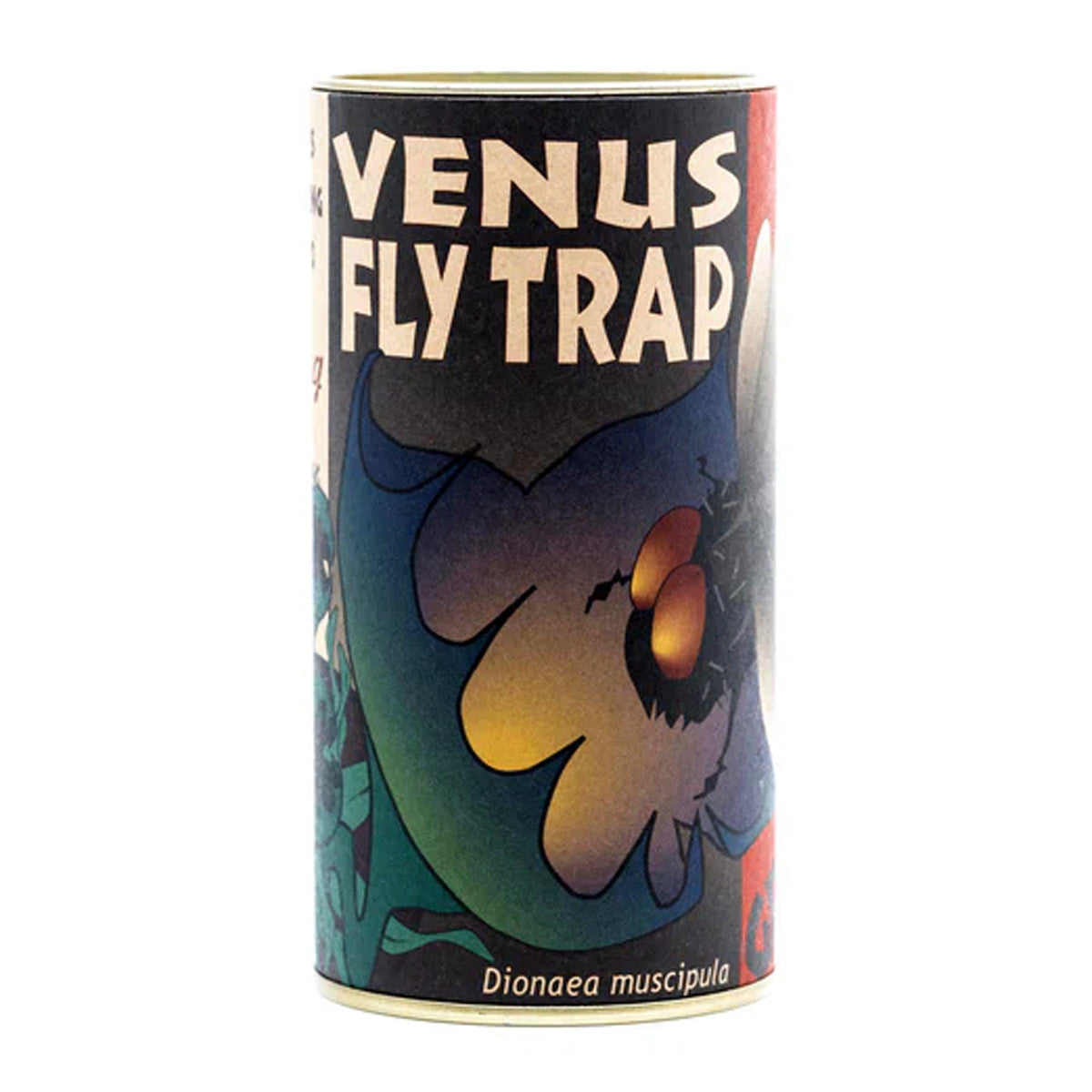 Carnivorous Venus Flytrap Grow Kit