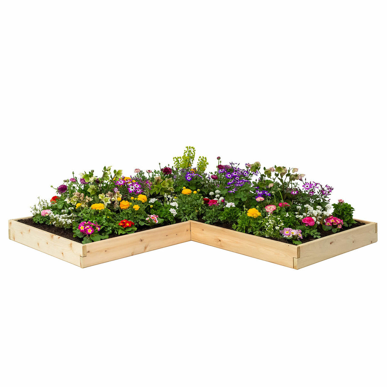 Classic Natural Cedar L-Shaped Raised Garden Beds