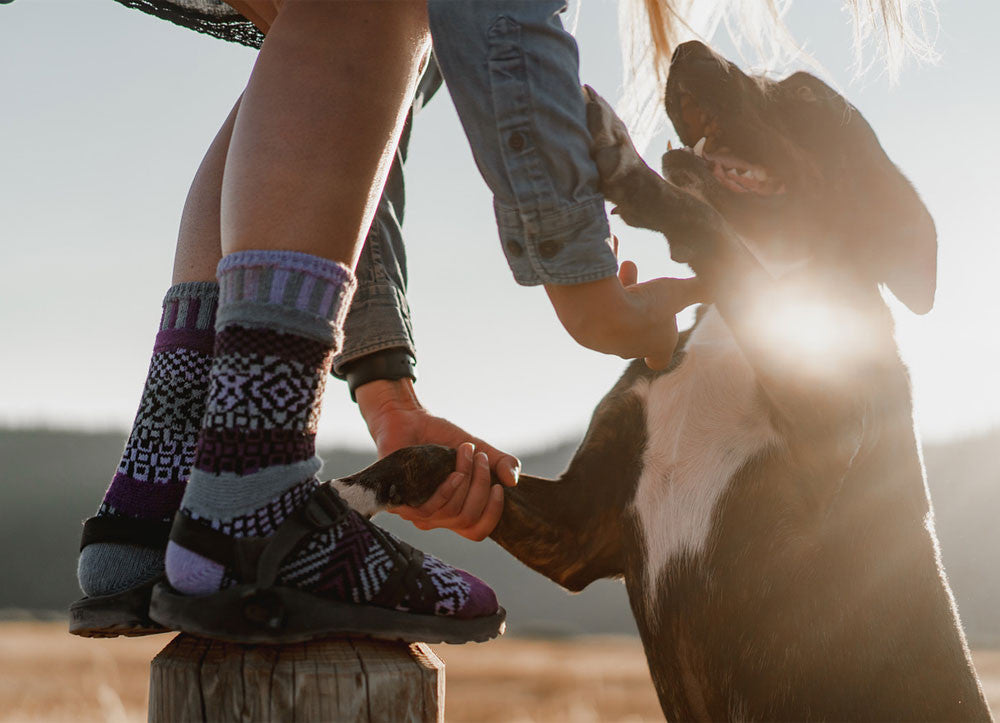 Wisteria Recycled Cotton Socks