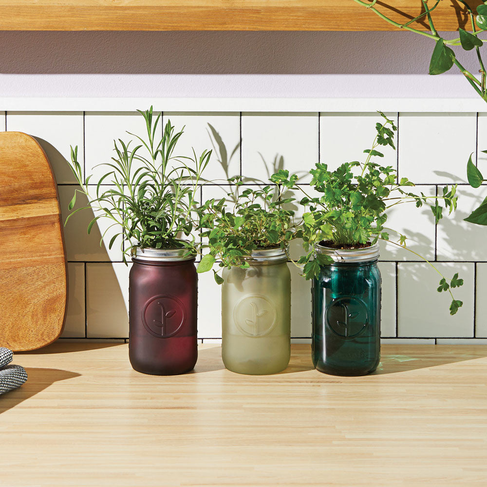 Garden Jar Collection