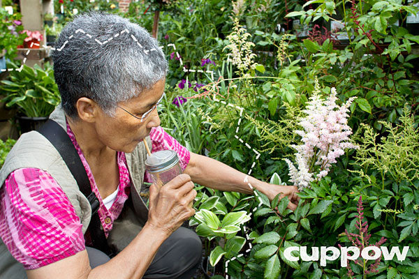 Cuppow Canning Jar Drinking Lid